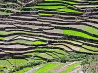 Rs 35cr investment in horti, agri projects to stem migration from hills