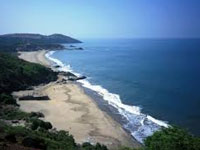 Green panel for relaxing coastal norms: RTI
