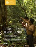 Climate benefits, tenure costs: the economic case for securing indigenous land rights in the Amazon