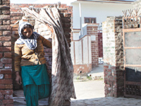 Zero-open-defecation drive: Villages, schools sans toilets to be mapped