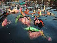 Nominal changes on Ganga’s health post-immersion: PCB