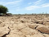 El Nino caused rainfall deficit, says expert