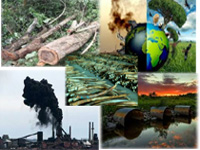 Major environmental problems facing India  