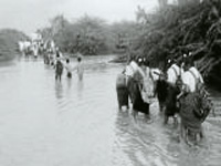 Flood situation grim in Bihar, Assam