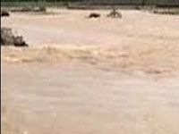Death toll in Bihar floods mounts to 304; situation grim in UP