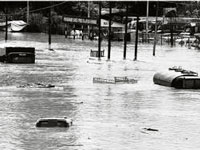 M.P. flood havoc due to ecocidal development: ‘Waterman’