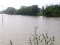 Bihar on flood alert as rain pounds northern districts