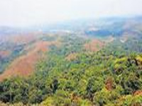 8,037 ha forestland encroached in State