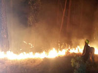 37 trekkers trapped in Bodi hills forest fire, five feared dead