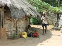Forest dwellers struggle for land rights under 2006 Act