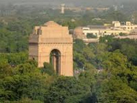 Delhi High Court: What is actual city forest cover?