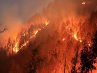 Uttarakhand forest fires: Natural or motivated?