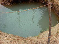 Vijayawada: Trace metals in groundwater