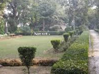 No construction by SDMC in playground, says NGT