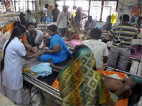 Health experts worried over rising adult Japanese encephalitis cases in Assam