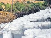 'Fly ash a cheap solution to Bellandur lake's pollution'