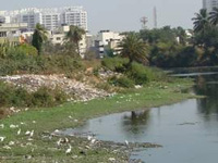 City wetlands lose 99% value to urbanization