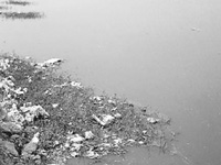 ASI, civic agencies not helping us clean Tughlakabad toxic lake: Jal Board to HC