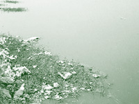 Polluted lake near monument: Delhi High Court concerned