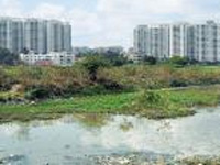 40 per cent of Bengaluru's sewage goes into lakes