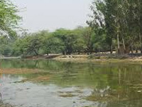 Sanjay Lake near Mayur Vihar to get new lease of life