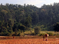 Deforestation has taken place at faster rate under Modi Govt: Waterman