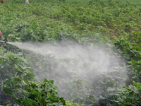 Farmers urged to make judicious use of pesticides