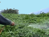 Pesticides, chemical fertilisers turning agriculture non-profitable