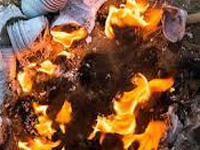 Ghaziabad RWAs call for ban on plastic burning