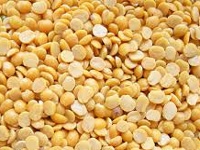 'Climatic conditions, pollution leading to low yield of pulses'