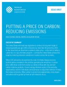 Putting a price on carbon: reducing emissions