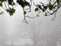 Parts of western suburbs see drizzle, air quality moderate