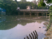 Mumbai: Locals step up effort to clean Dahisar river