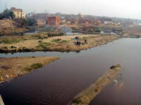Artificial pond helps cut Hindon pollution