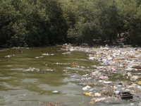 Ganga cleanup may get helping hand from Chennai