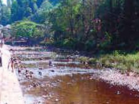Capturing Pamba at its polluted worst
