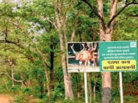Teens to promote forest conservation
