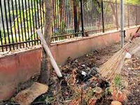 Delhi HC raps govt, civic bodies over sanitation