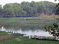 Greater Noida's 2,000-acre eco park to span Surajpur wetlands