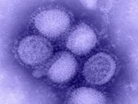 Swine flu death toll inches towards 2,000