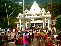 NGT notice on use of ponies, horses at Vaishno Devi shrine