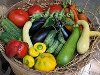 Vegetarian food beneficial but balanced diet is key to health'