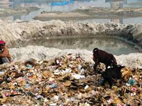 NGO gives suggestions for waste management in cities