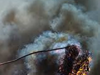Waste burning continues in Gurgaon despite ban