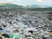 Garbage menace grows despite Sector 50 protests