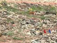 MCG contractors dump waste in empty Sushant Lok, DLF IV plots