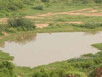 HC asks Gujrat authorities to fence water bodies