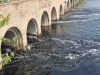Fresh norms to gauge water quality of rivers