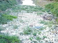 Manipur water bodies dry up