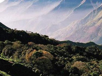 Special law sought to save Western Ghats in State